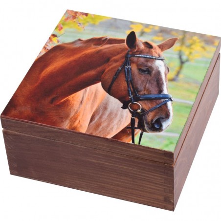 a tea box with a picture of a horse